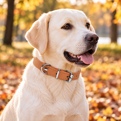 Adjustable Faux Leather Dog Collar