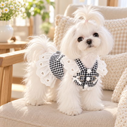 Checkered Lace Dog Dress